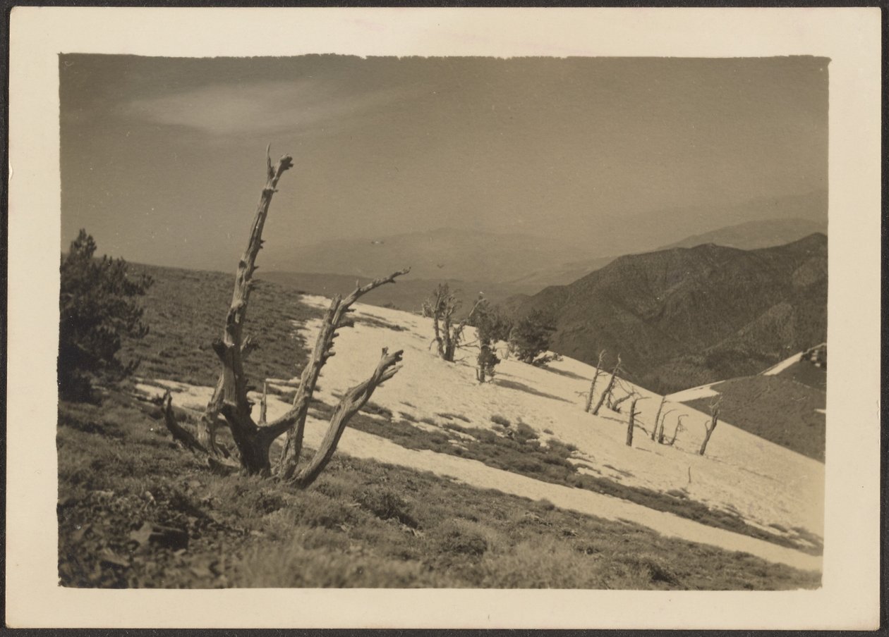 [Landschap] door Louis Fleckenstein