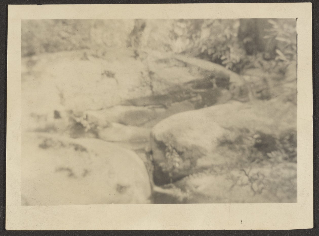 [Landschap met keien]. door Louis Fleckenstein
