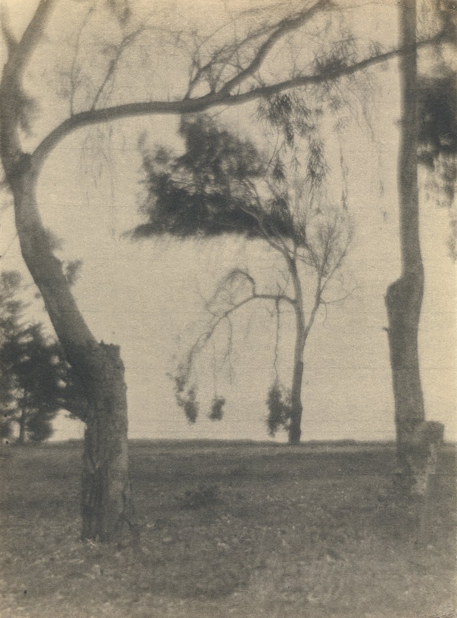 [Landschap met bomen] door Louis Fleckenstein
