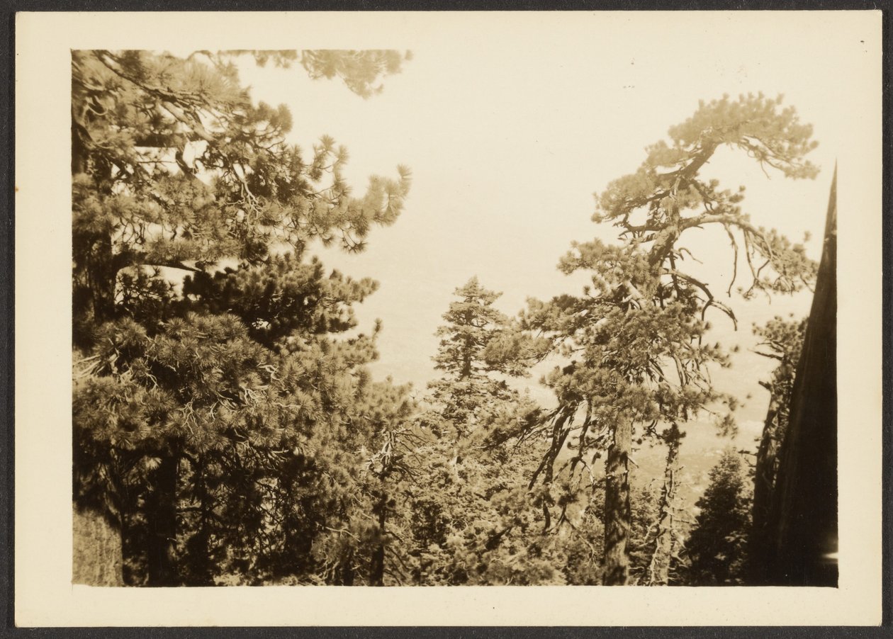 [Santa Rosa Peak]. door Louis Fleckenstein