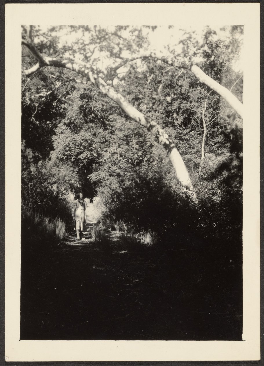 [Vrouw op pad in bos]. door Louis Fleckenstein