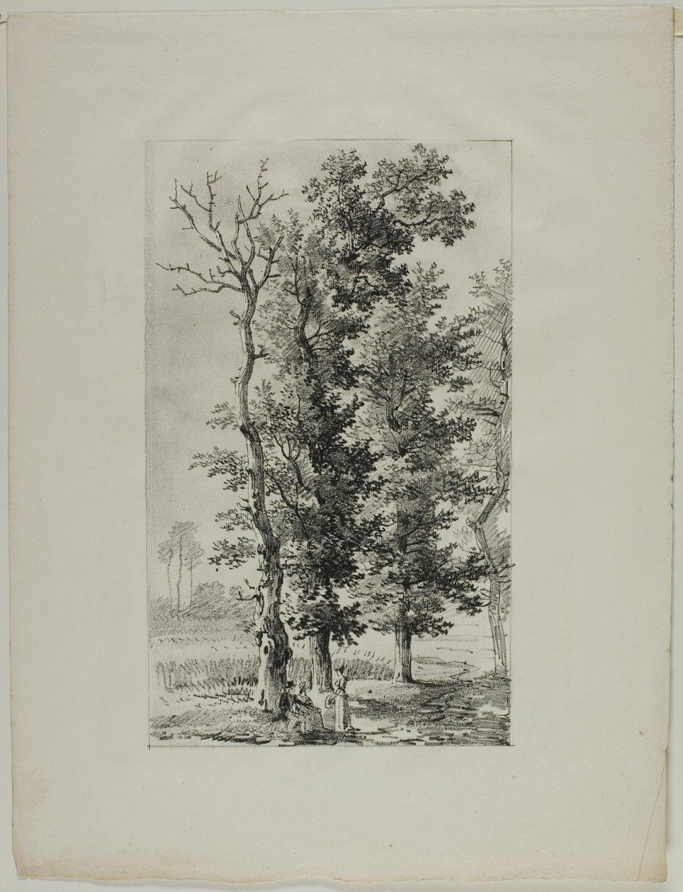 Studie van Bomen door Louis Pierre Baltard