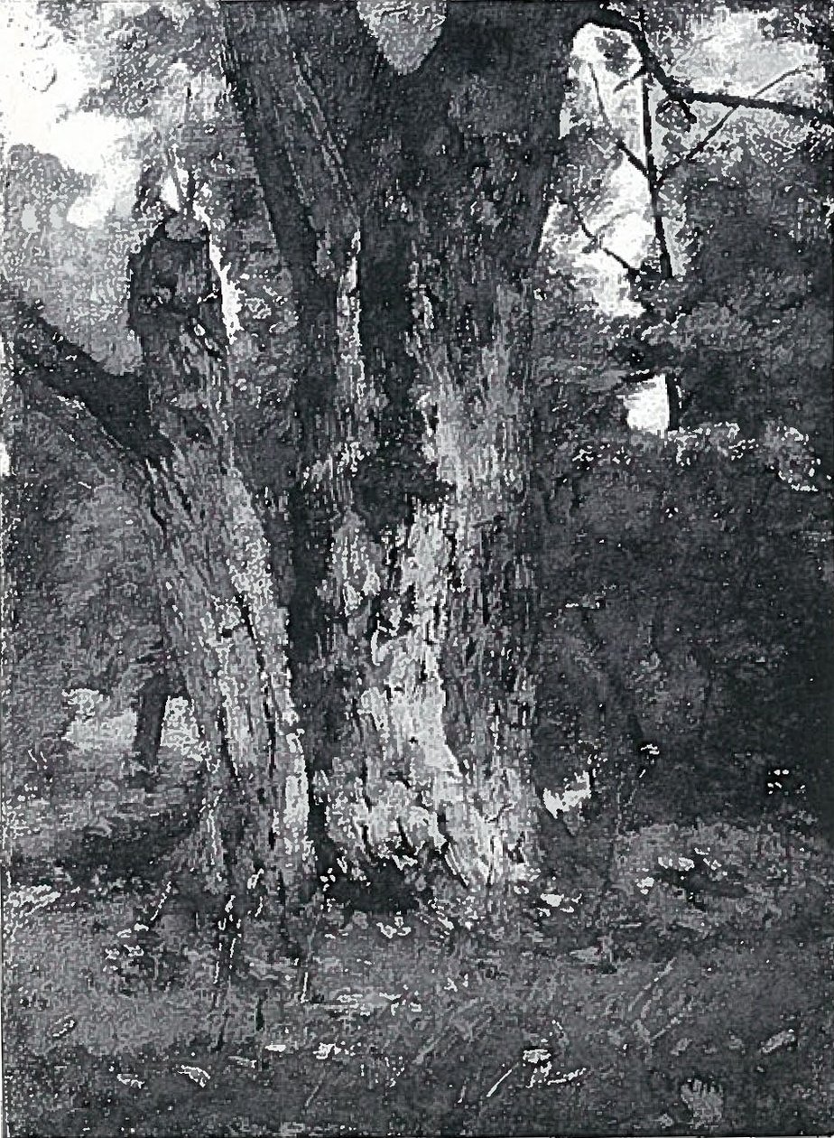Aweiderpark in Konigsberg door Lovis Corinth