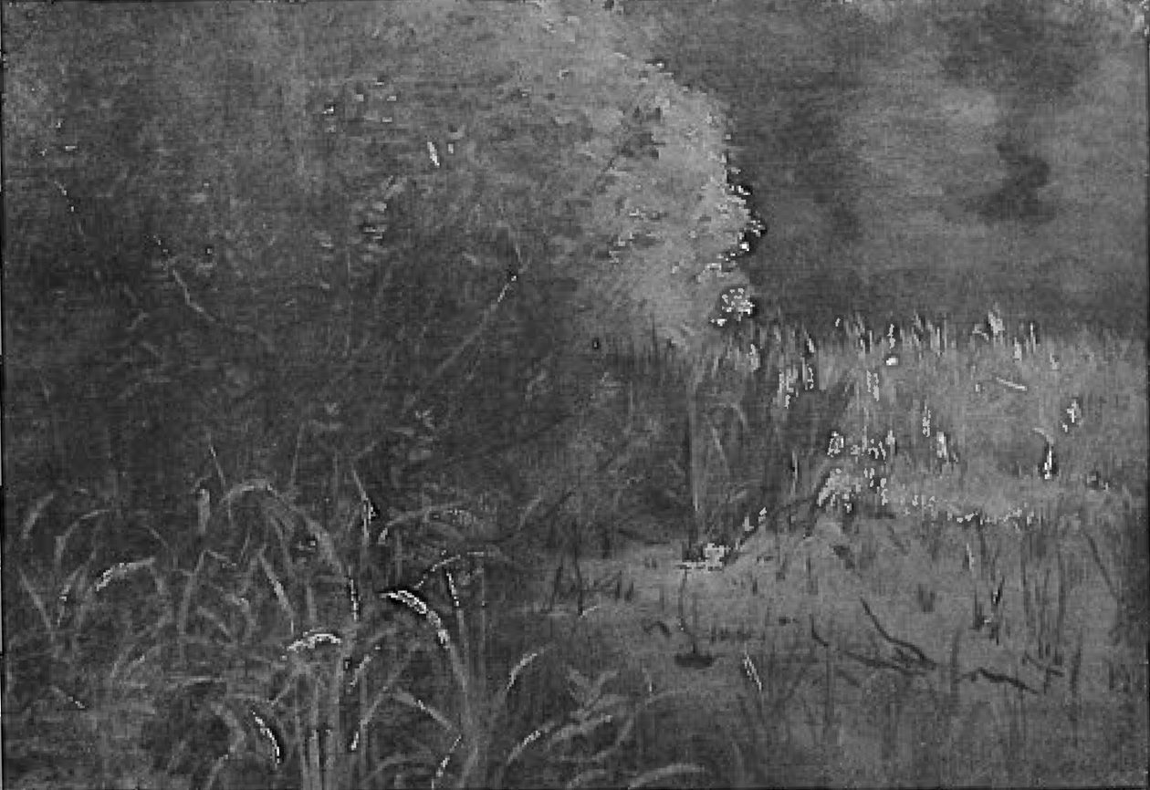 In het riet door Lovis Corinth