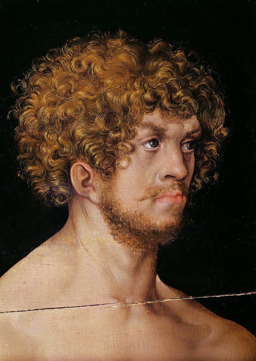 Adam en Eva, detail van Adams hoofd (detail) door Lucas Cranach the Elder