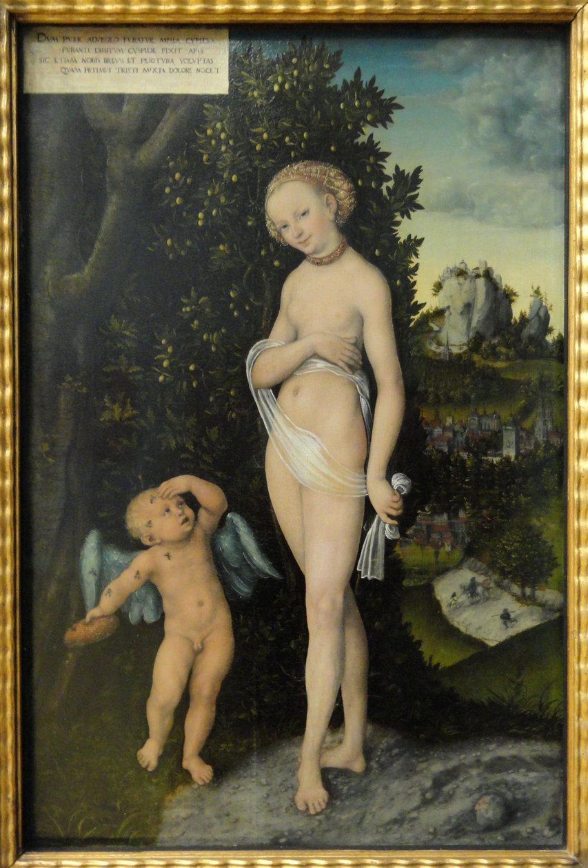 Venus en Cupido, de Honingdief door Lucas Cranach the Elder