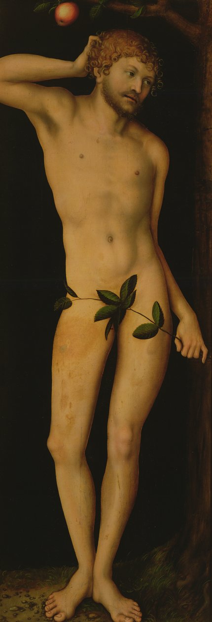 Adam, 1528 door Lucas Cranach the Elder