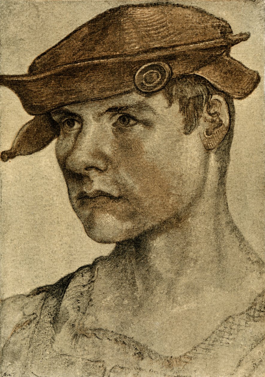 Portret van een man door Lucas Cranach the Elder