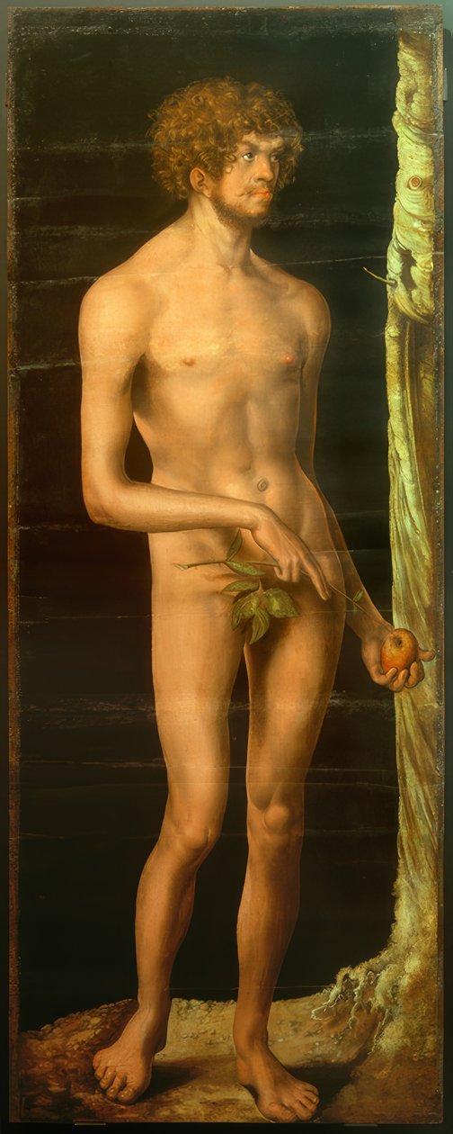 Adam door Lucas Cranach the Elder