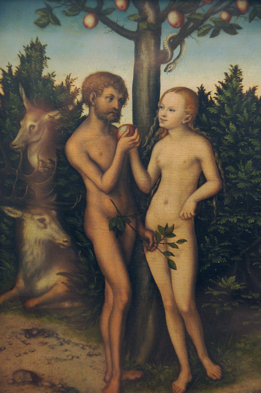 Adam en Eva door Lucas Cranach the Elder