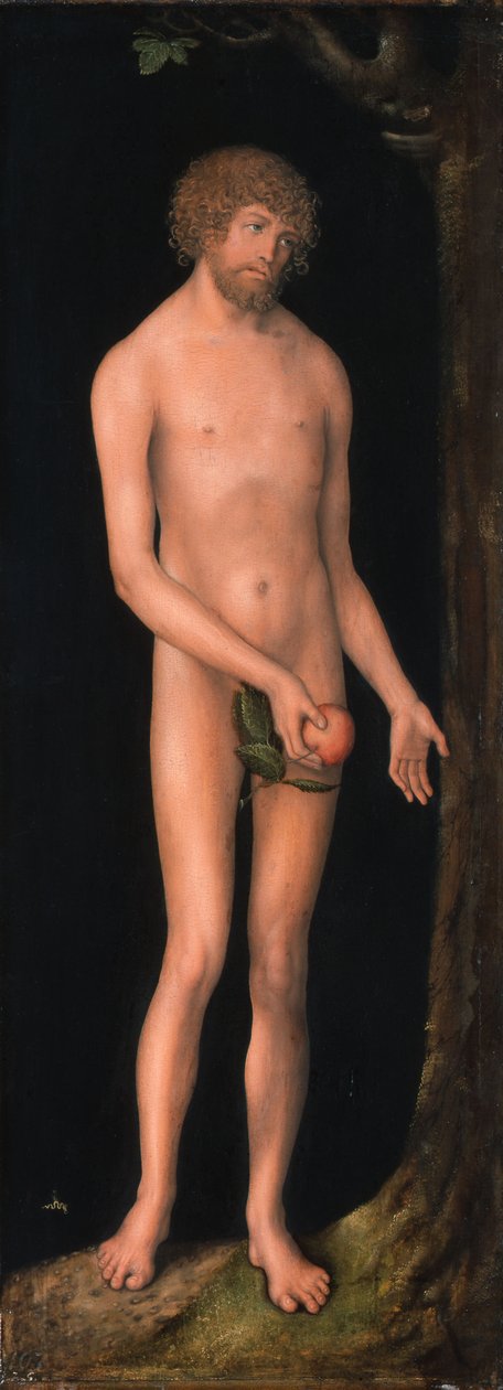 Duits: Adam door Lucas Cranach the Elder