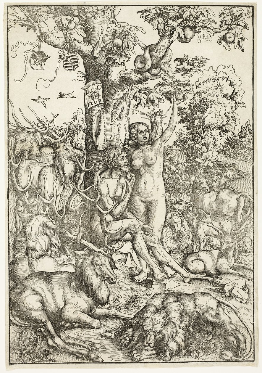De zondeval van de mens door Lucas Cranach the Elder