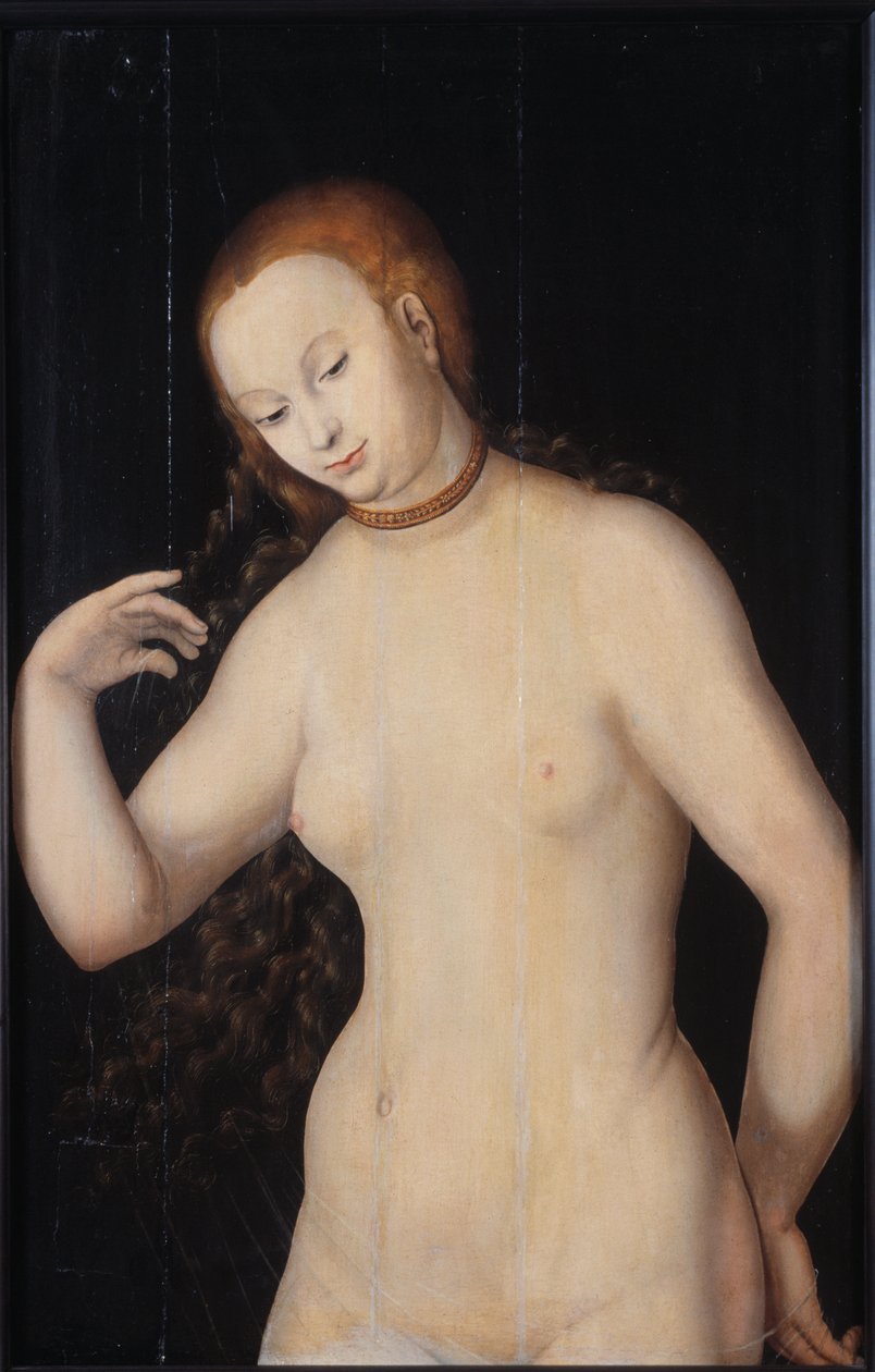Venus door Lucas Cranach the Elder