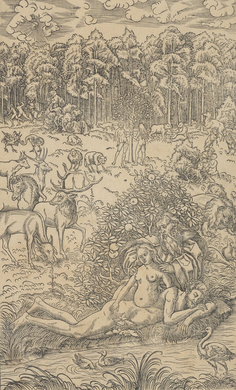 De Schepping van Eva door Lucas Cranach the Younger  