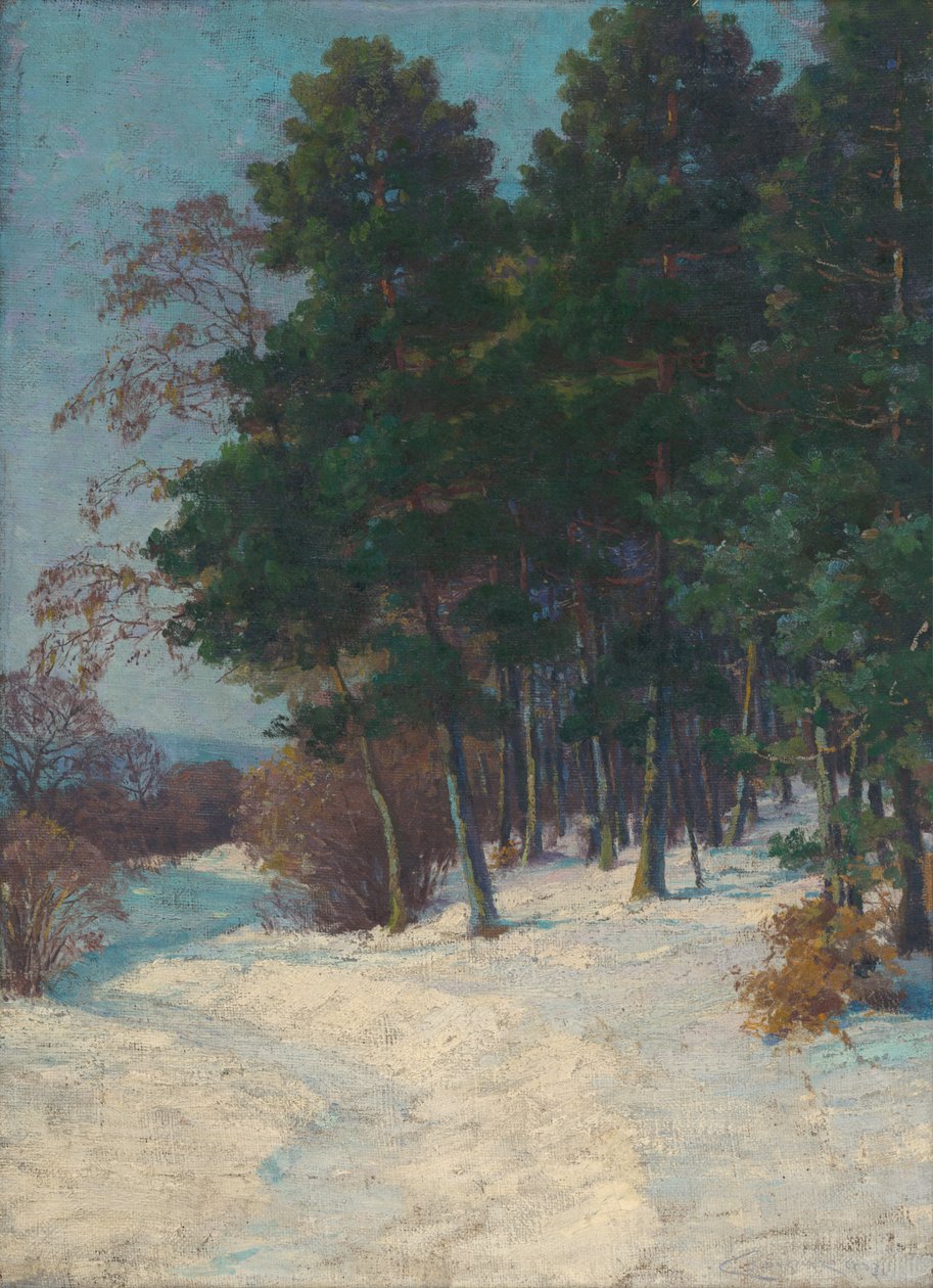Bos in de winter door Ludovit Cordak