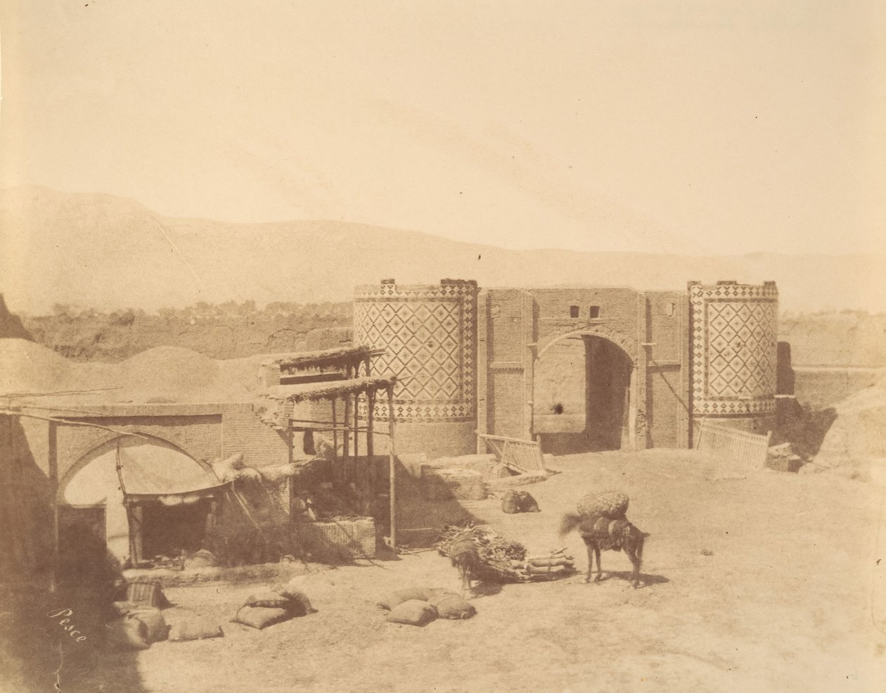 Poort van de Regering, Teheran, Iran door Luigi Pesce