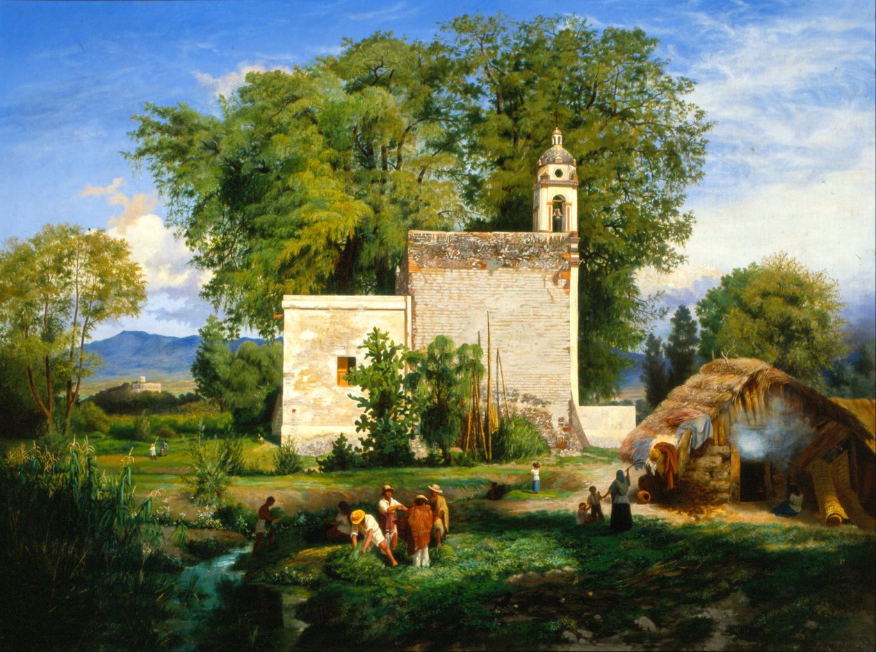 Landschap van San Cristóbal Romita door Luis Coto