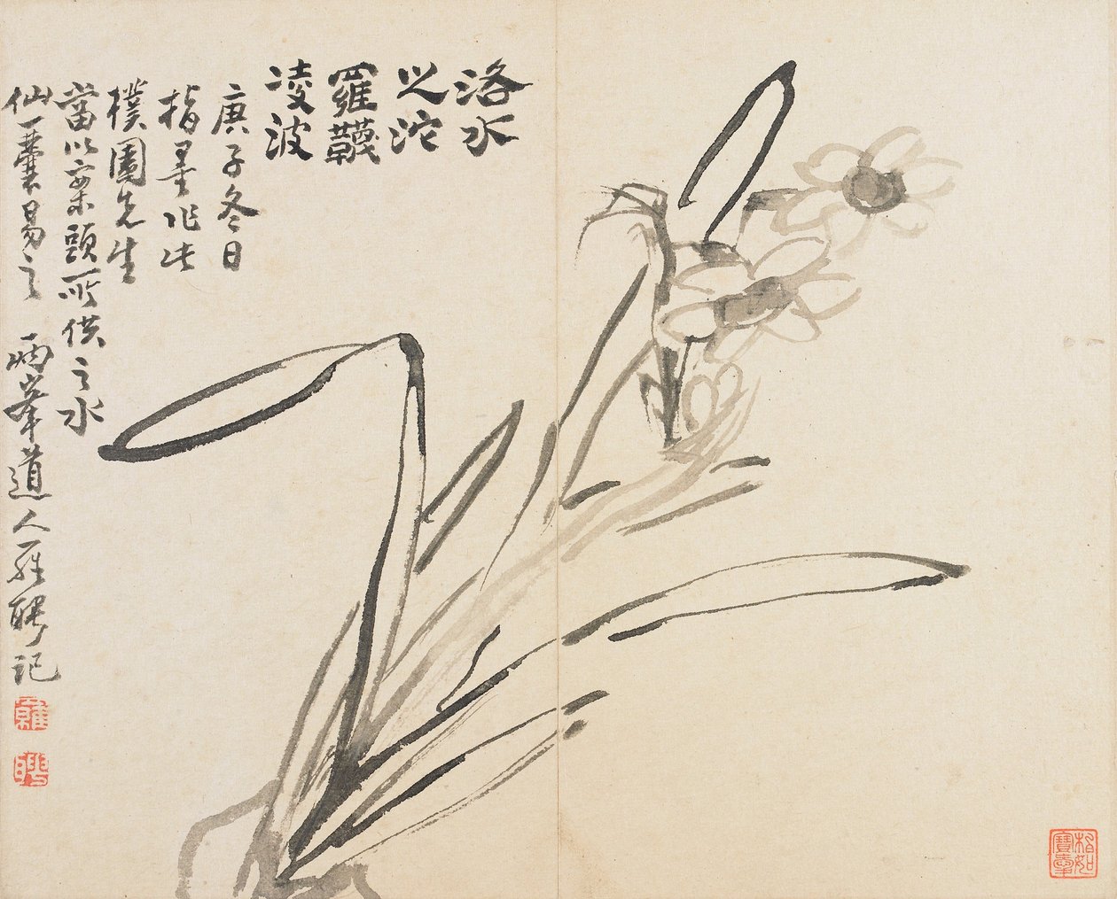 Landschappen, bloemen en vogels - Narcissus door Luo Ping