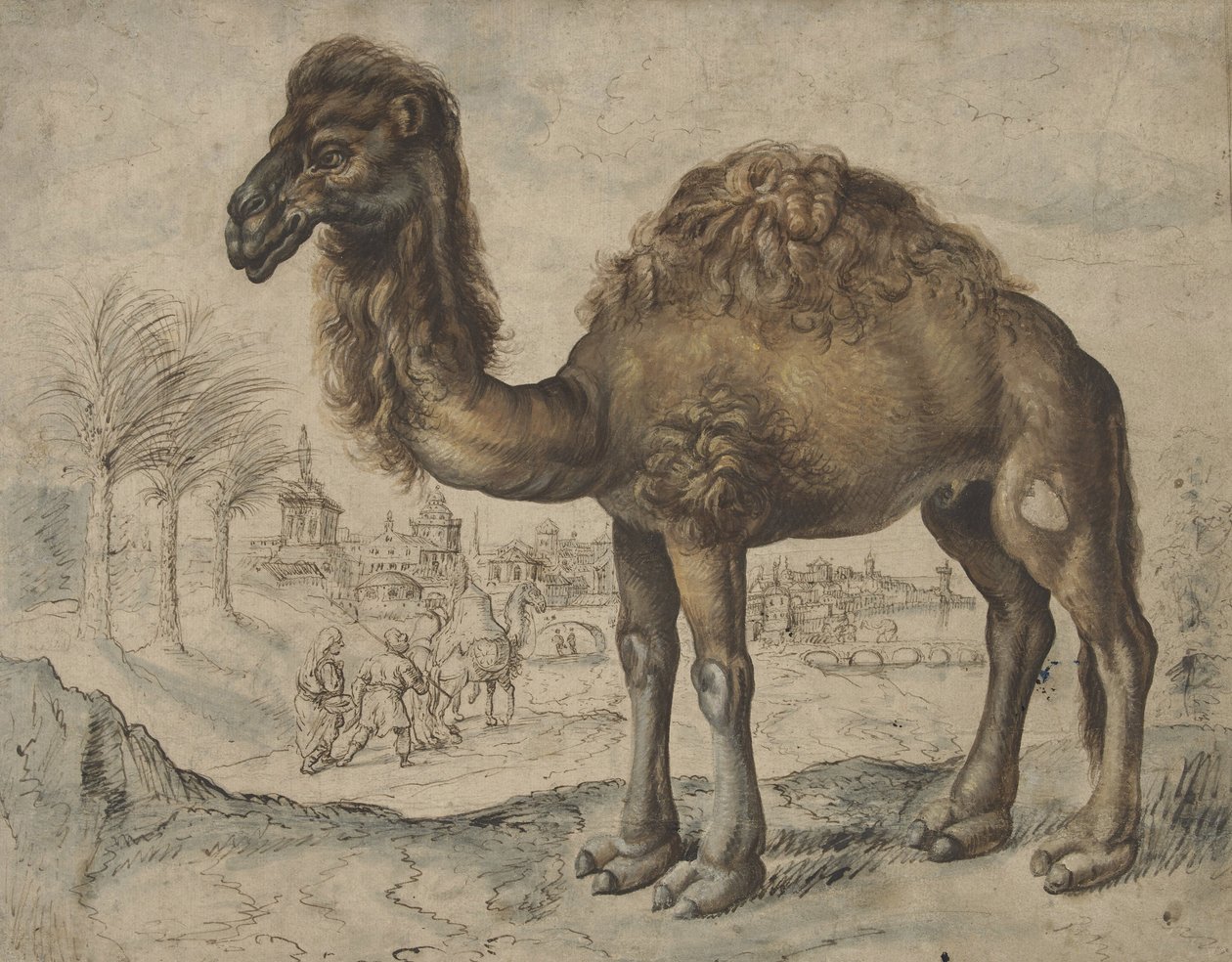Dromedaris in een oosters landschap met een stad, 1600 door Maarten de after Vos