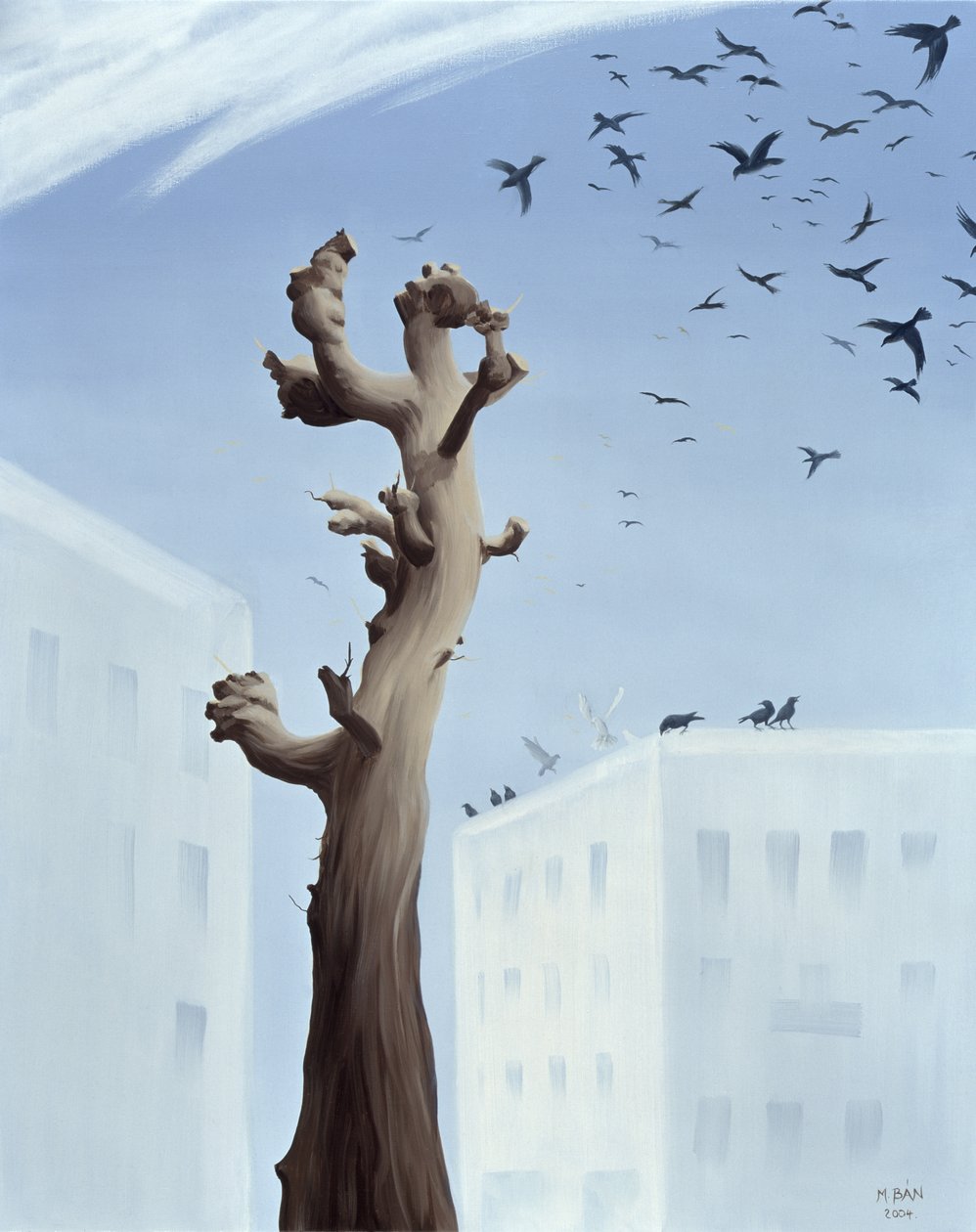 Ontsteltenis, 2004 door Magdolna Ban