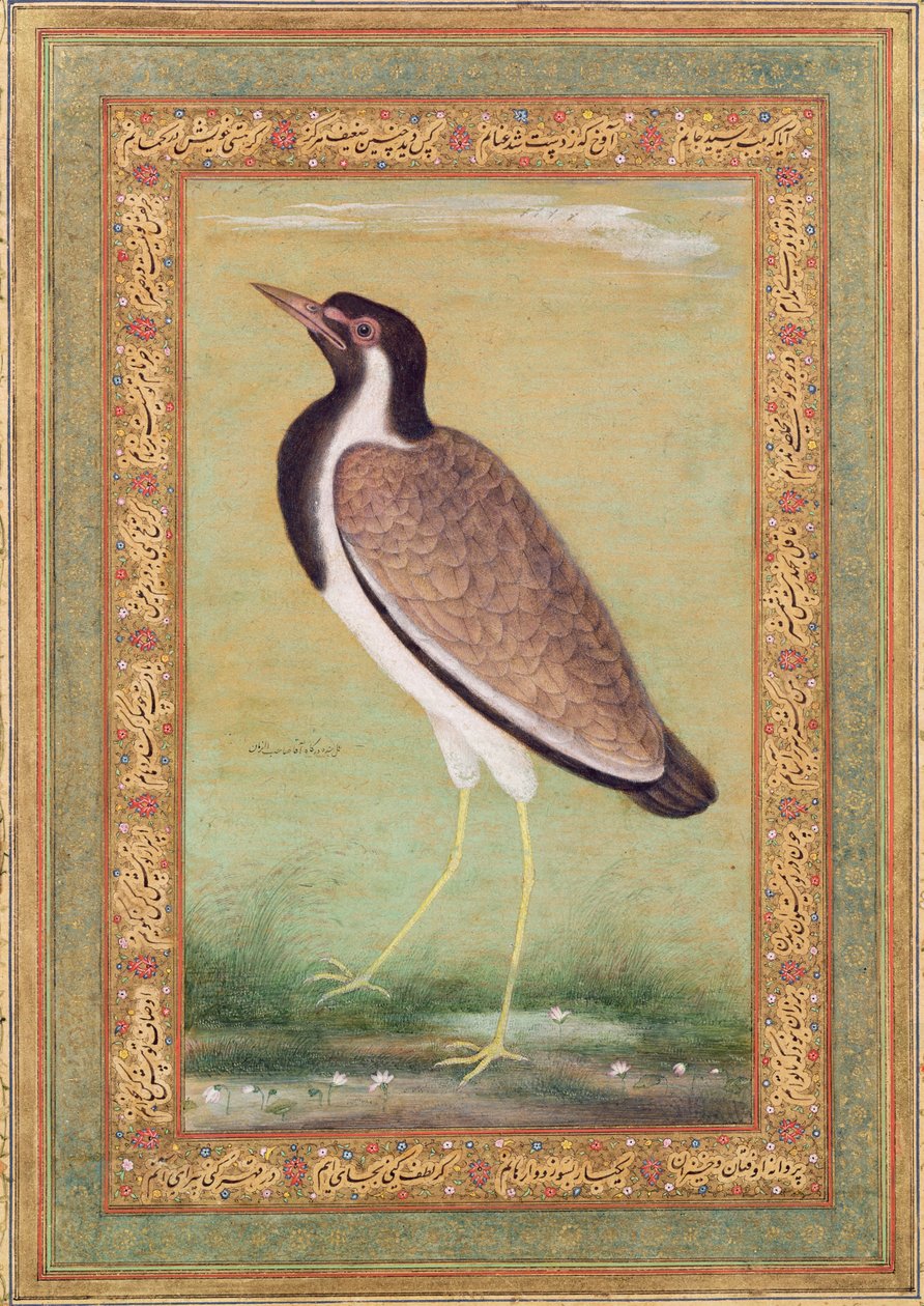 Indische kievit, c.1800 door Mansur