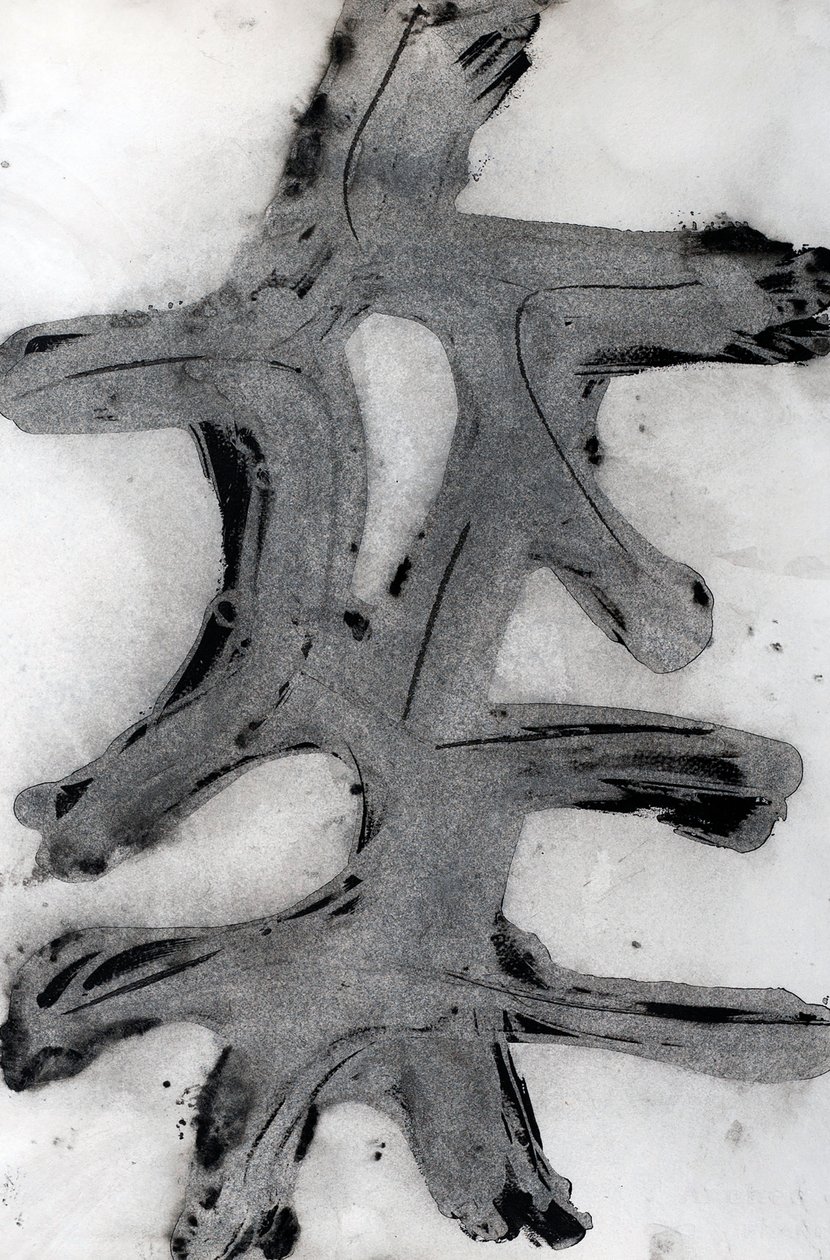 Ramas, 2014 (inkt op papier) door Marco Campedelli