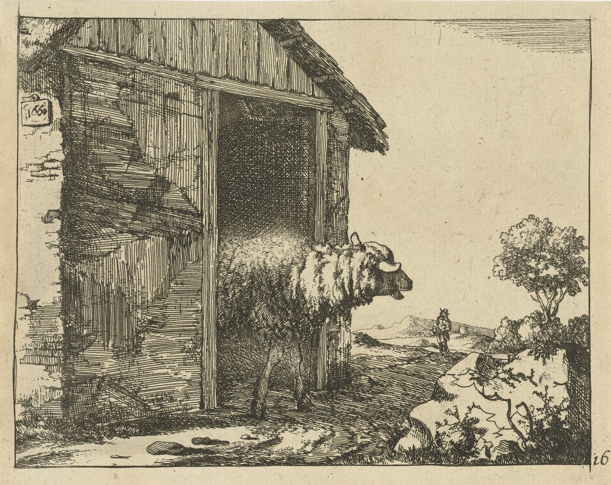 Schaap bij schaapskooi door Marcus de Bye