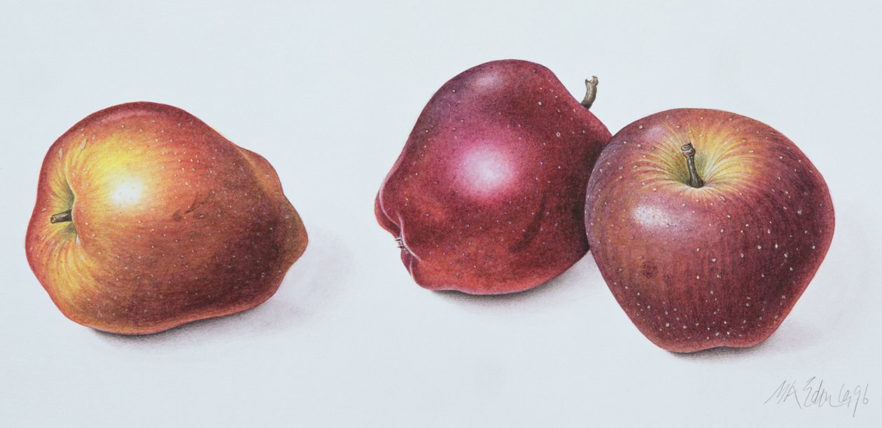 Rode appels, 1996 door Margaret Ann Eden
