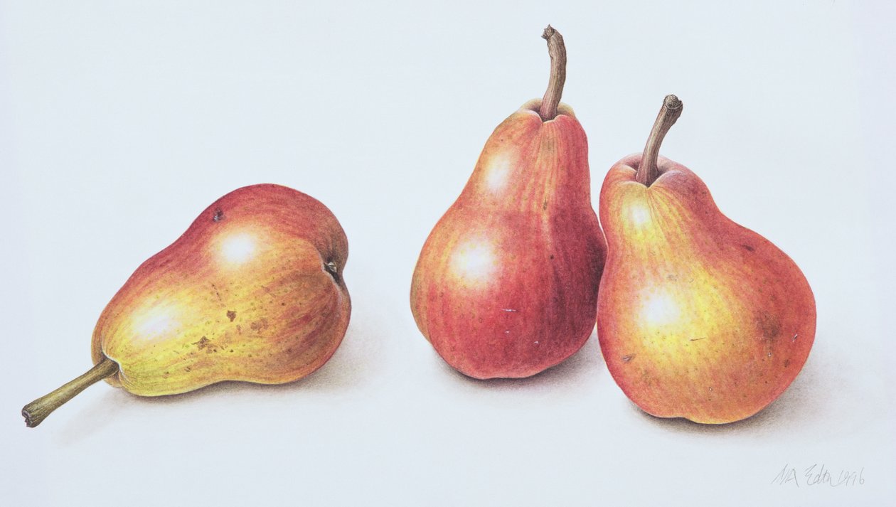 Rode peren, 1996 door Margaret Ann Eden