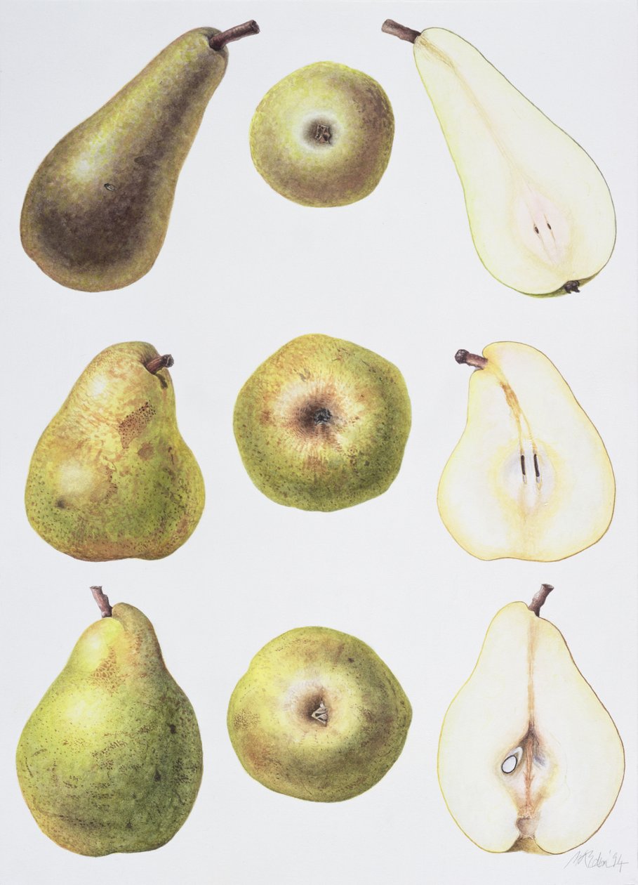 Zes peren, 1994 door Margaret Ann Eden