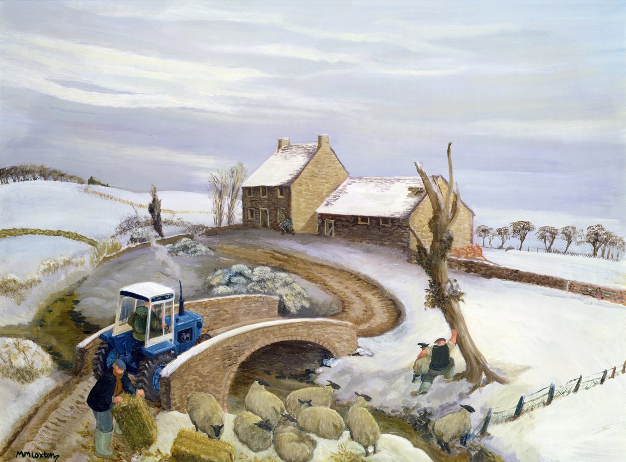 Januari in de heuvels door Margaret Loxton