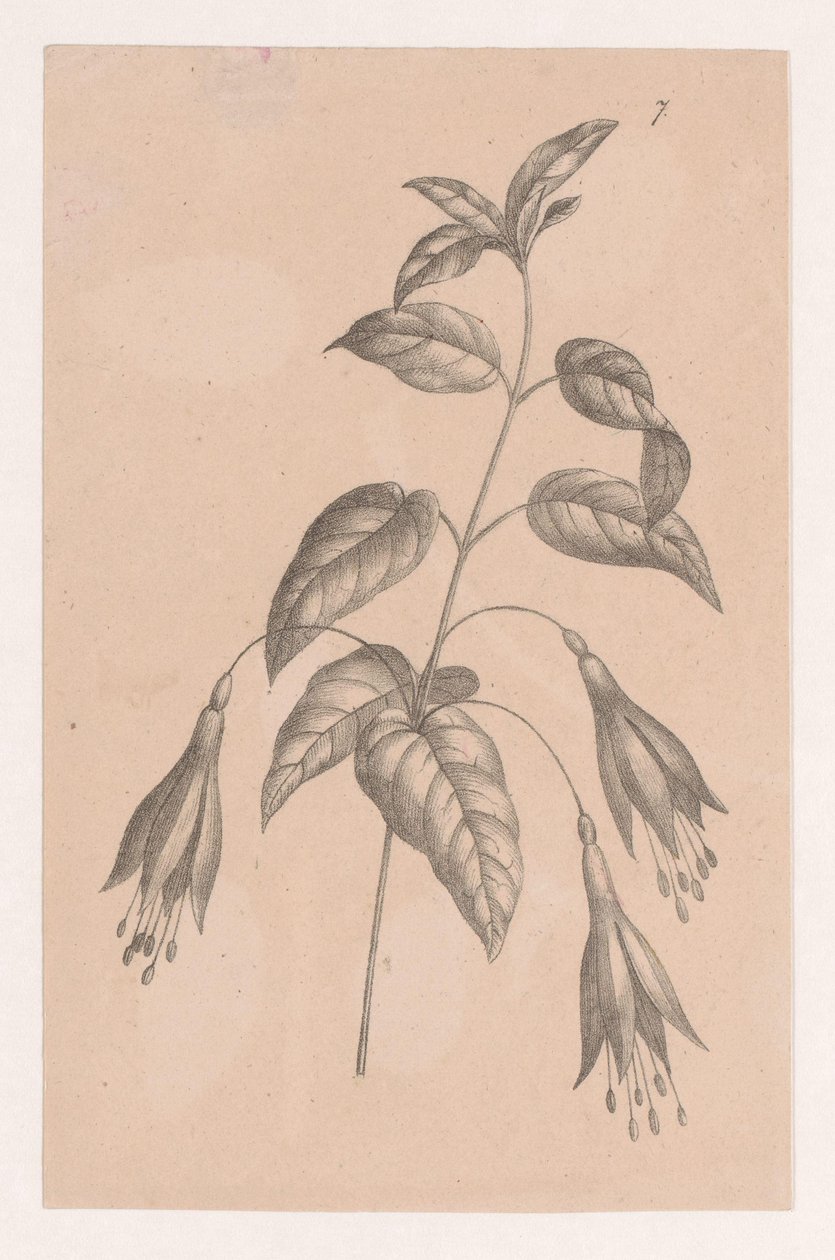 Tak met bloemen door Maria Geertruida de Goeje Barbiers (attributed to)