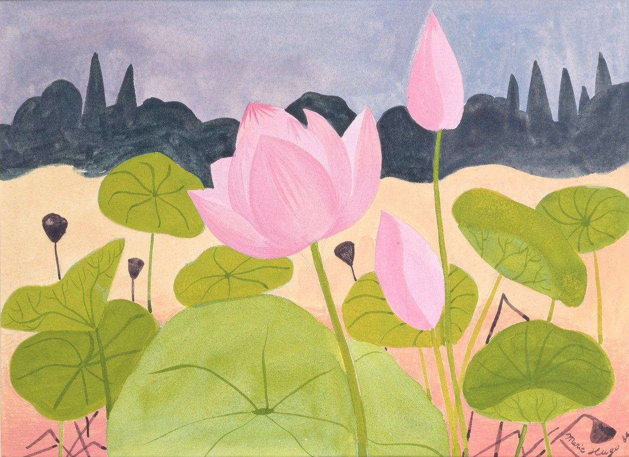 Lotus in de Garrigue door Marie Hugo