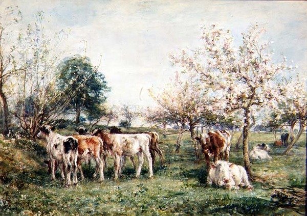 Kalveren in een kersenboomgaard door Mark Fisher