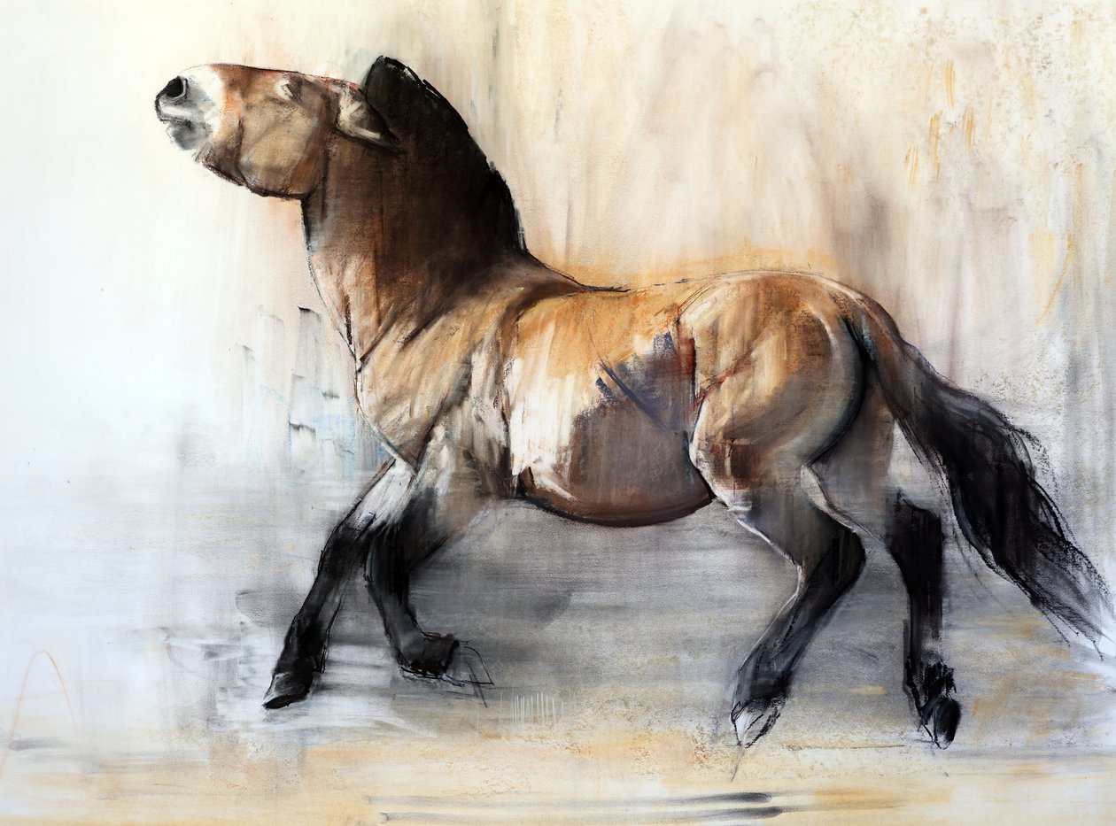 Oud Paard (Przewalski in de Winter), 2014 door Mark Adlington