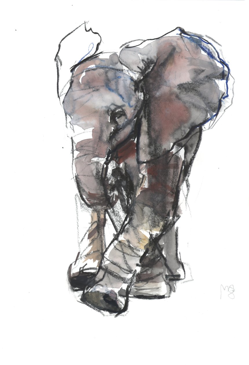 Baby Olifant Studie, 2018 door Mark Adlington