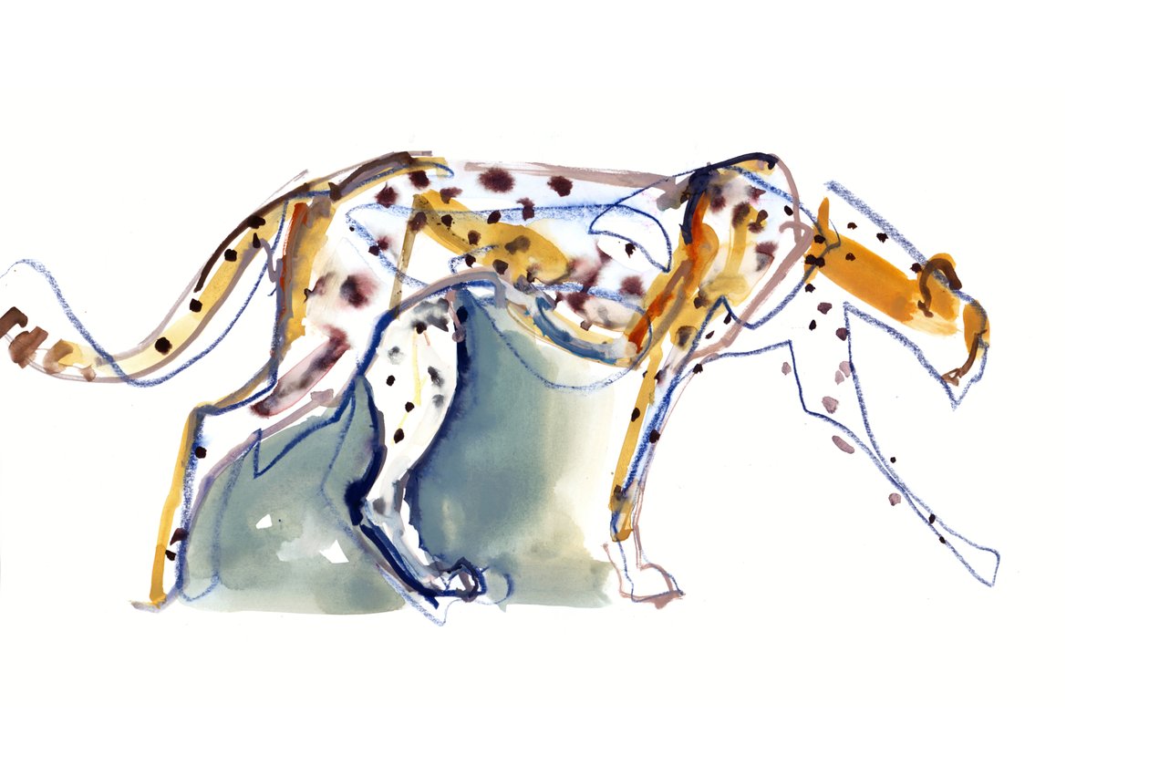 Cheetah, 2022 door Mark Adlington