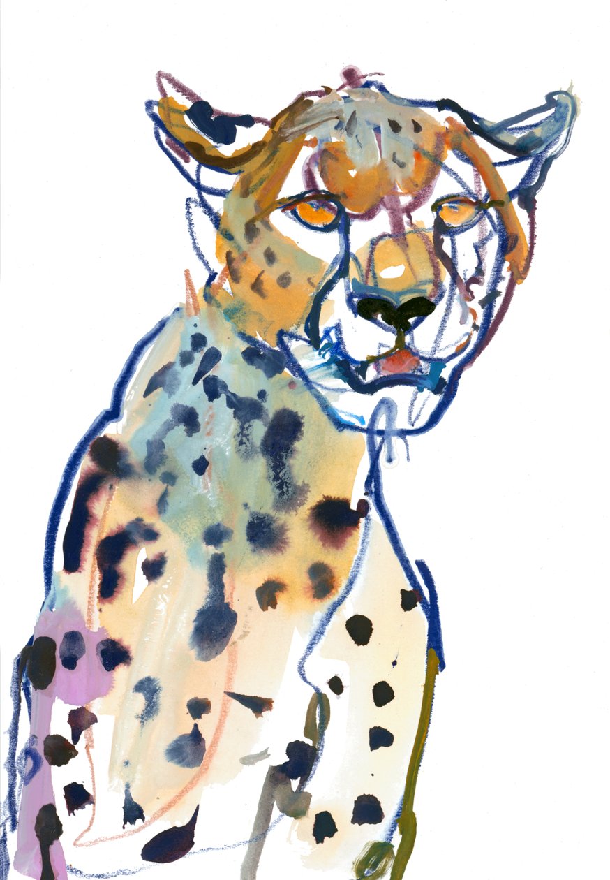 Chyulu Cheetah, 2022 door Mark Adlington