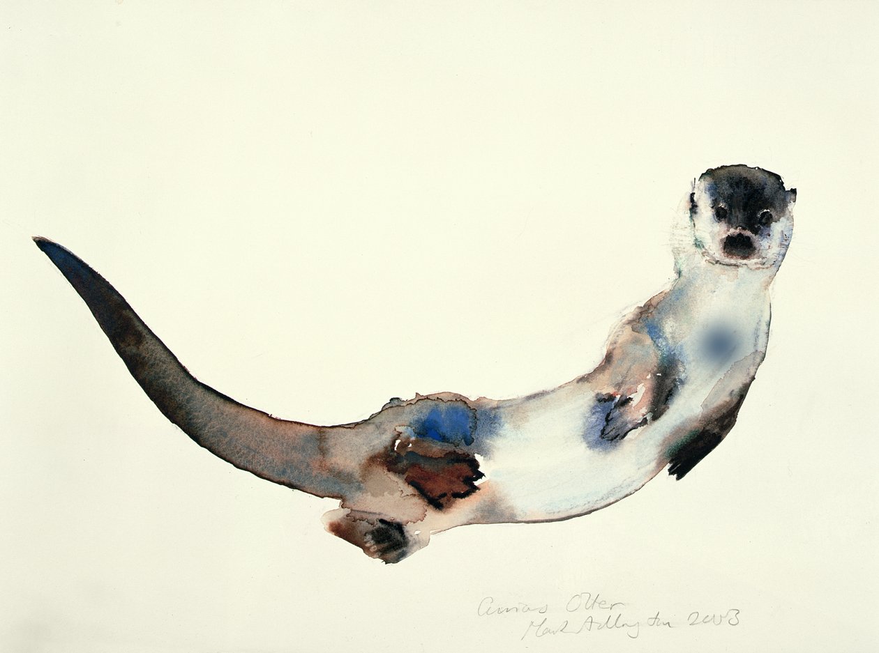 Nieuwsgierige Otter door Mark Adlington