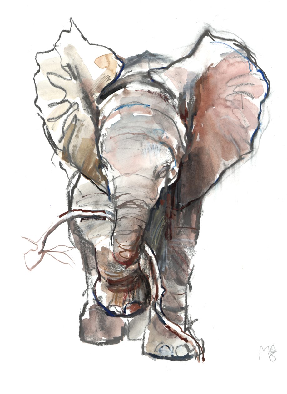 Dumbo door Mark Adlington