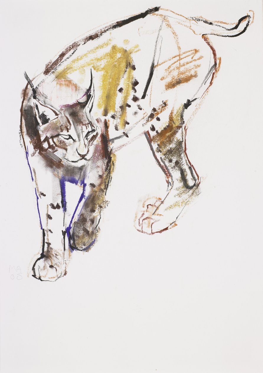 Europese Lynx door Mark Adlington