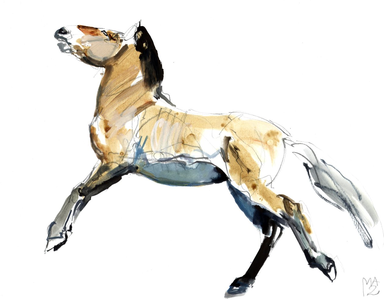 Vrij (Przewalski) door Mark Adlington