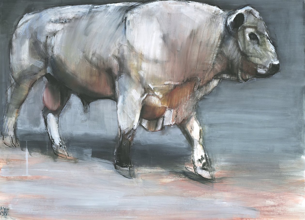 Fresno, Galloway Stier door Mark Adlington