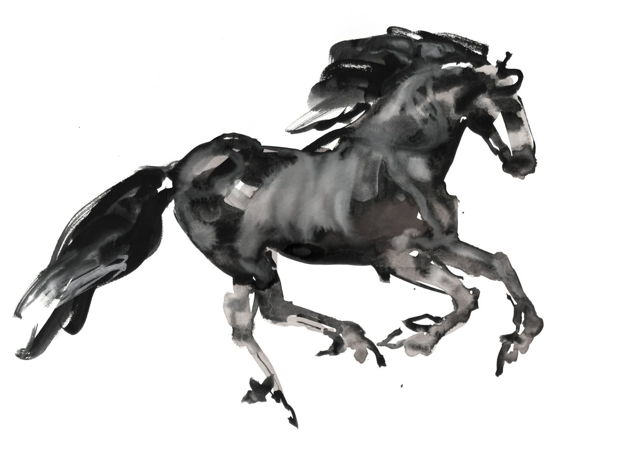 Galop, 2015 door Mark Adlington