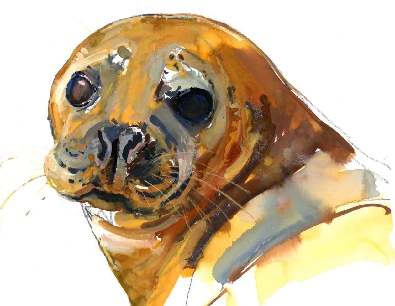 Gember pup, Westcove door Mark Adlington