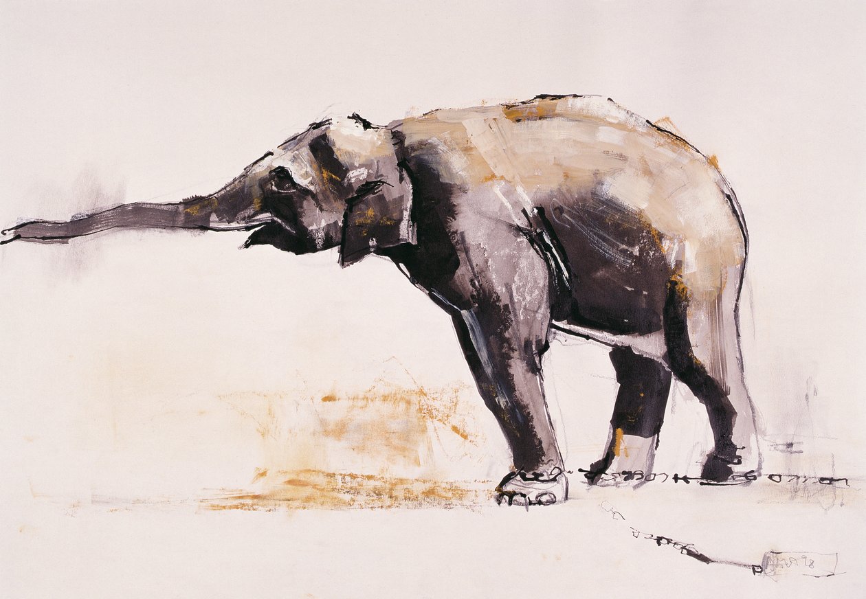 Indiase Olifant, Khana door Mark Adlington