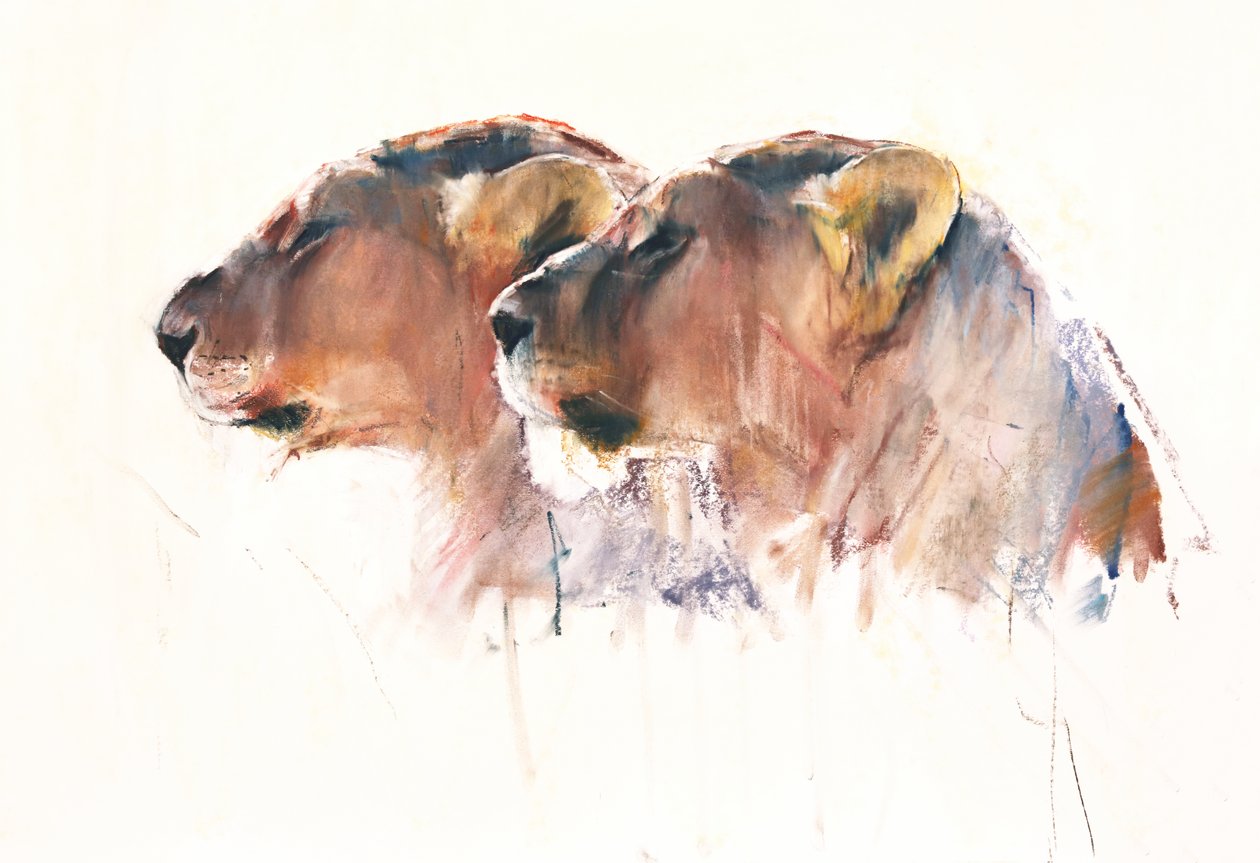 Zussen, Etosha, 2017 door Mark Adlington
