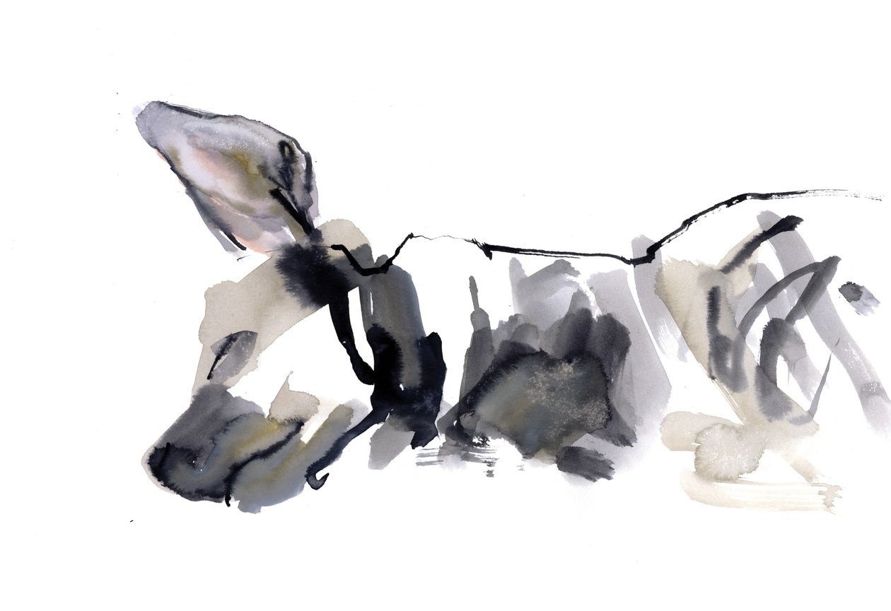 Slapende hyena, 2010 door Mark Adlington