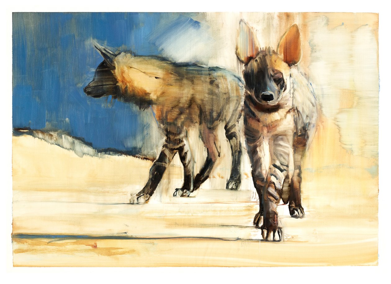 Gestreepte Hyena