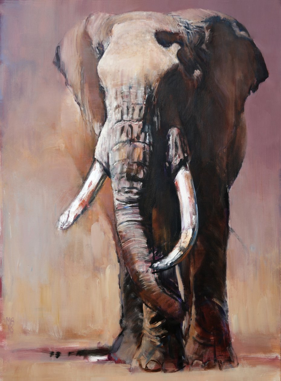 Tofauti, Chyulu Heuvels, 2018 door Mark Adlington